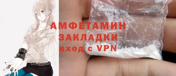 стаф Апатиты