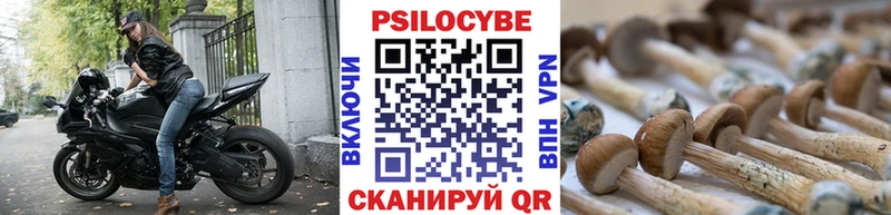Псилоцибиновые грибы Psilocybine cubensis  магазин продажи наркотиков  Аргун 